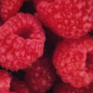 Meet your Posher, Elena